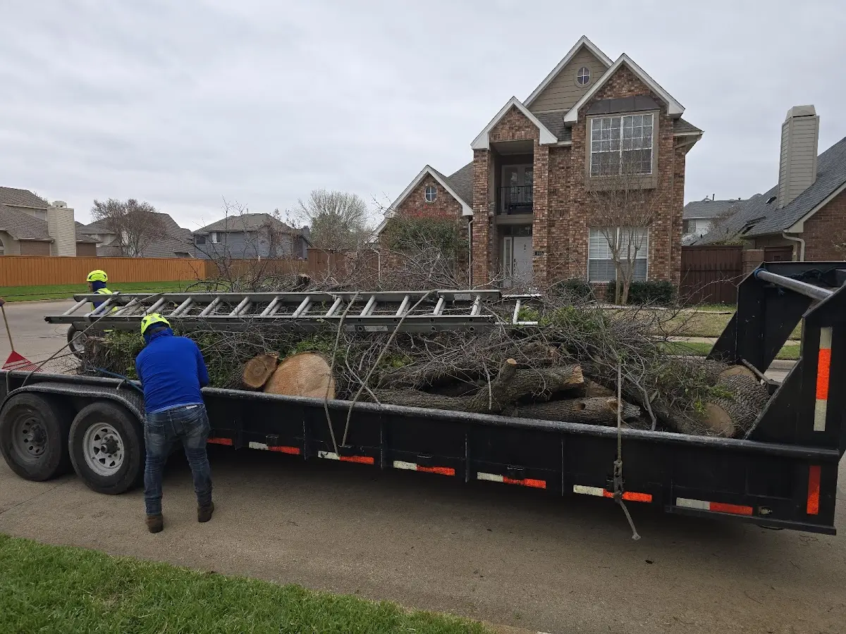 Expert Deadwooding with proper safety equipment in Sheboygan Falls